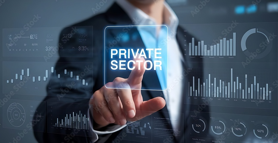 private sector